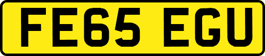 FE65EGU