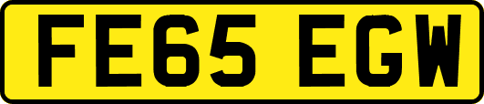 FE65EGW