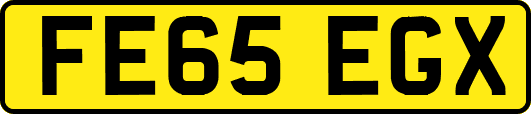 FE65EGX