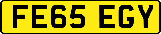 FE65EGY