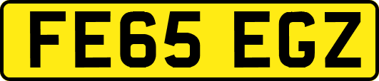 FE65EGZ