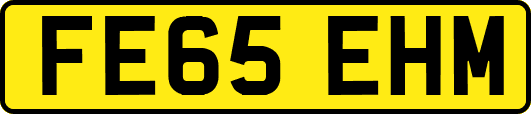 FE65EHM