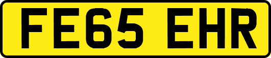 FE65EHR