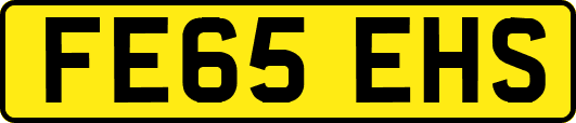 FE65EHS