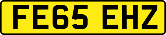 FE65EHZ