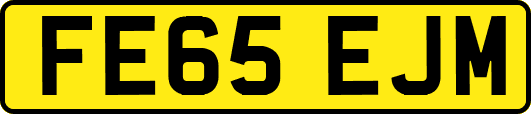 FE65EJM