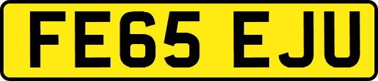 FE65EJU