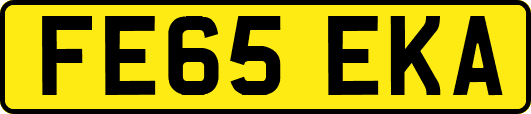 FE65EKA