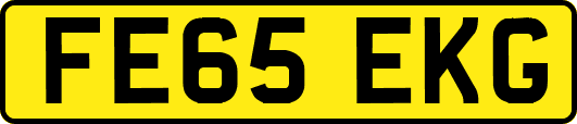 FE65EKG