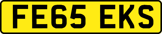 FE65EKS