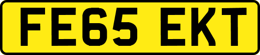 FE65EKT
