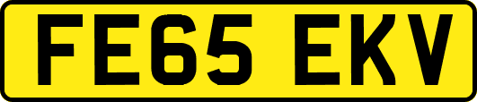 FE65EKV