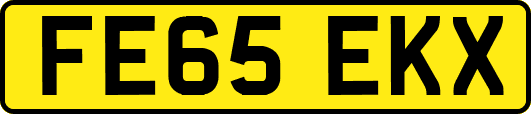 FE65EKX