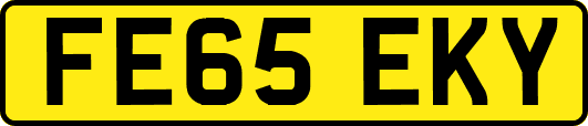 FE65EKY