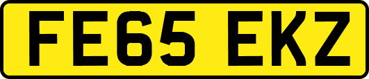 FE65EKZ