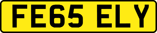 FE65ELY