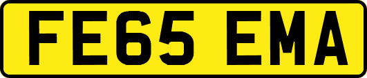 FE65EMA