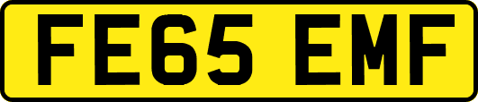 FE65EMF