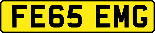 FE65EMG
