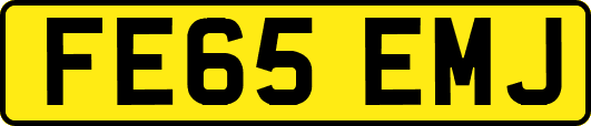 FE65EMJ