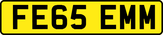 FE65EMM