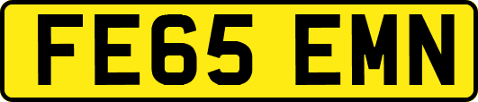 FE65EMN