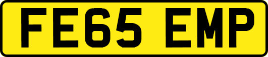 FE65EMP