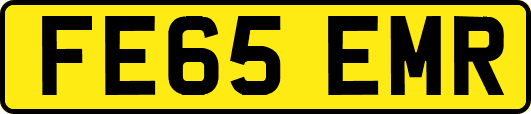 FE65EMR