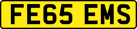 FE65EMS