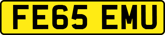 FE65EMU