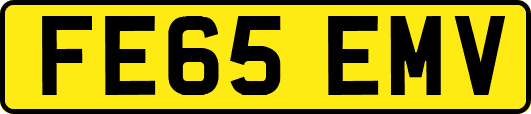 FE65EMV
