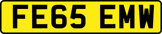 FE65EMW