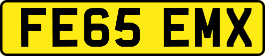 FE65EMX