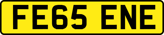 FE65ENE