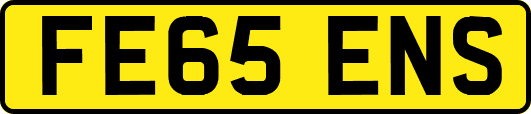 FE65ENS