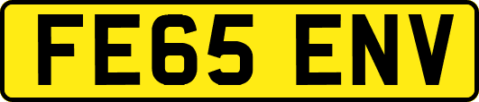 FE65ENV
