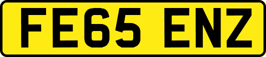 FE65ENZ