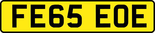 FE65EOE
