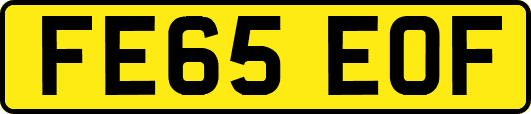 FE65EOF