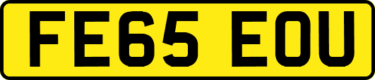 FE65EOU