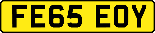 FE65EOY