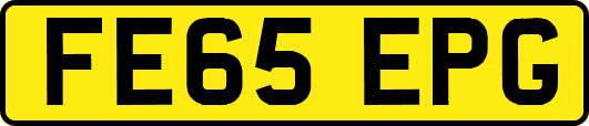 FE65EPG