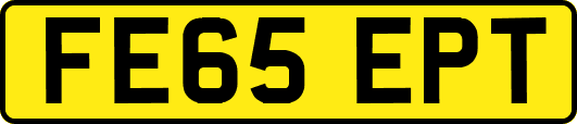 FE65EPT