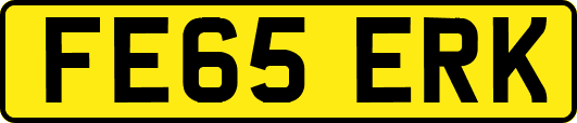 FE65ERK