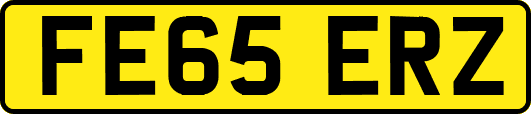 FE65ERZ