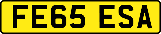 FE65ESA