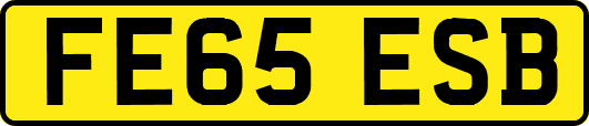 FE65ESB