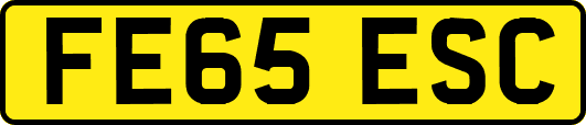 FE65ESC