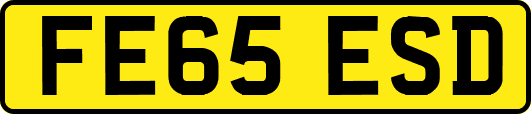 FE65ESD