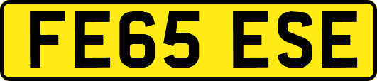 FE65ESE